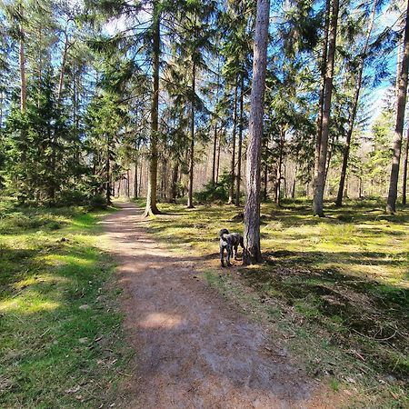 Ferienwohnung Schuberski Lipperreihe المظهر الخارجي الصورة